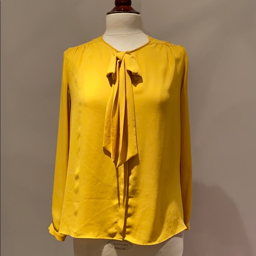 Zara Flowy Semi-Sheer Blouse